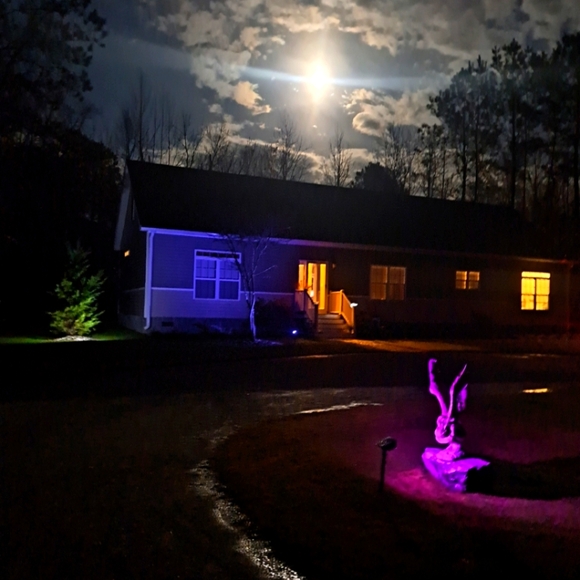 A POSHERS LIFE - Picture 9 of 14